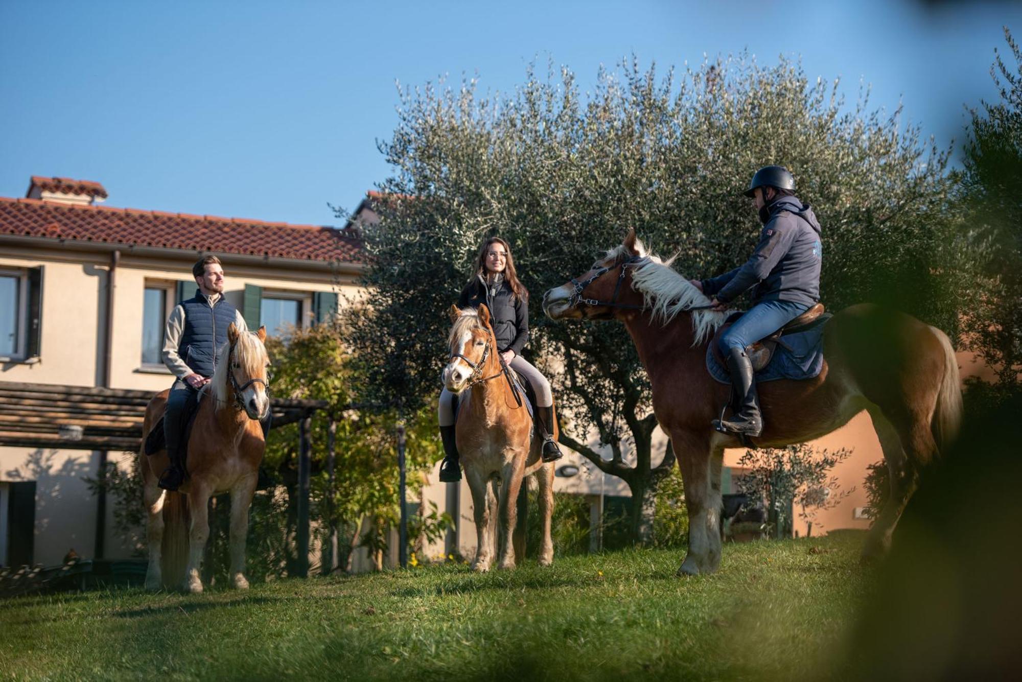 Agriturismo Terre Bianche Teolo Exterior photo